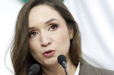 #CongresoCoahuila. Programas de atención integral a población canina sin dueño en zonas rurales