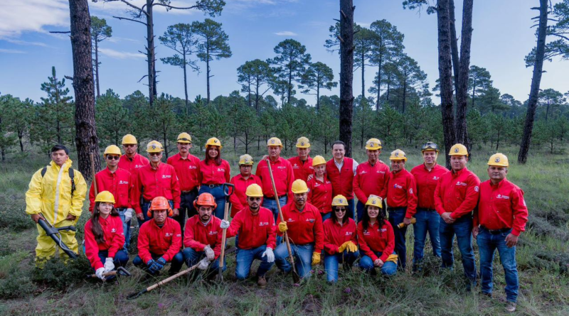 #Durango mantiene su liderazgo forestal y es ejemplo nacional en la conservación de sus bosques; destaca Esteban Villegas los resultados de su Cuarto Informe*