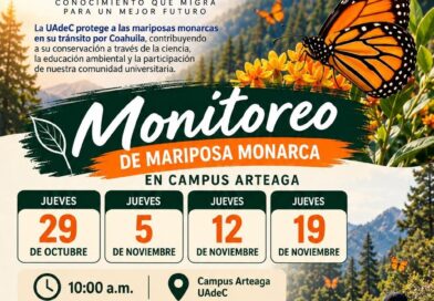 #UAdeC. Invita UAdeC a Participar en Monitoreo de Mariposa Monarca en Ciudad Universitaria de Arteaga